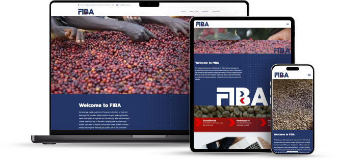 Fiba Holding website design